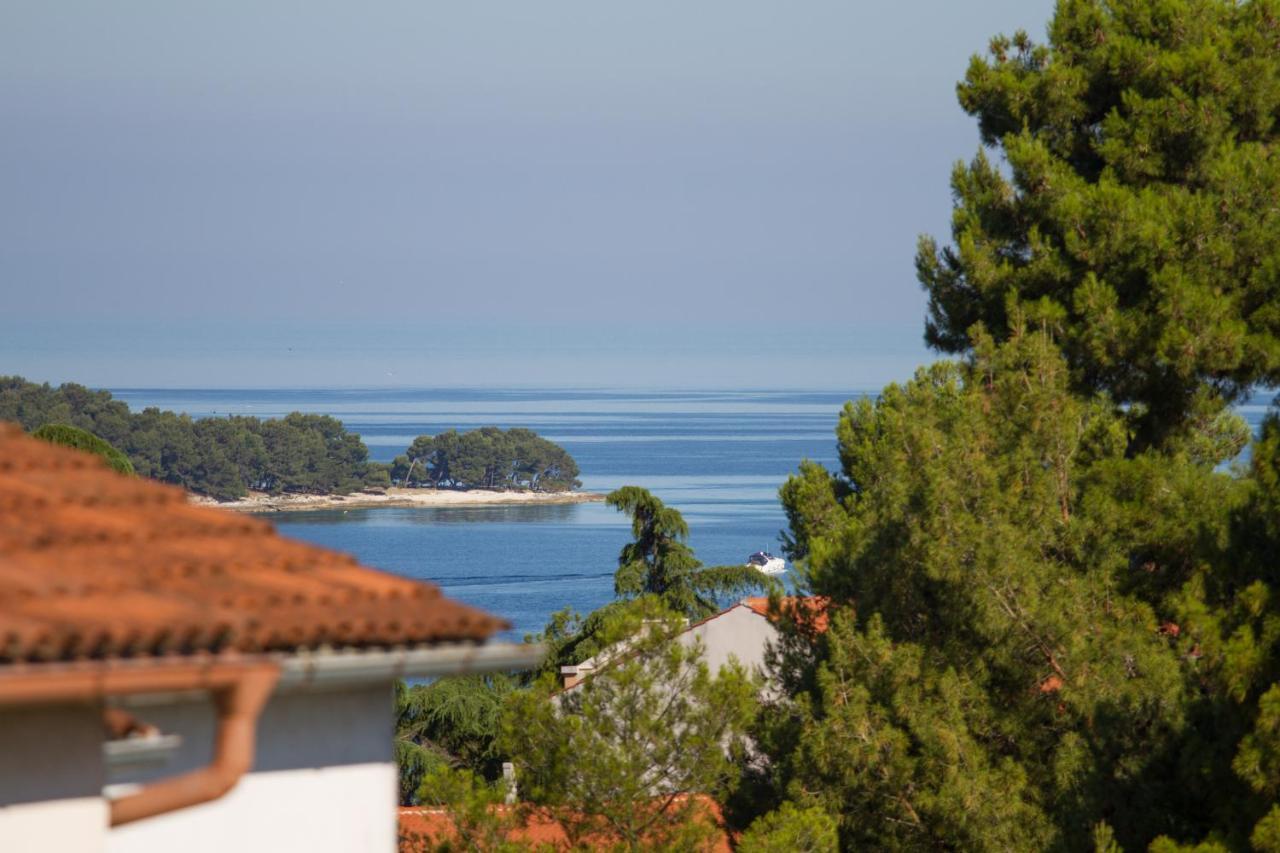 Studio Apartman Nega 2 Rovinj Exterior photo